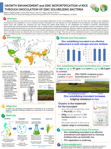 Poster 01 Nepomuceno-RA