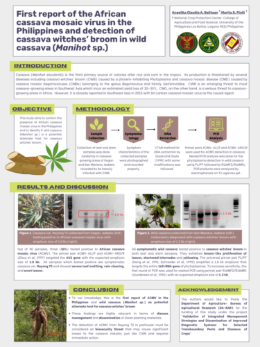 Poster 1 Balitaan-AA