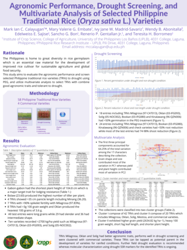 Poster 1 Calayugan-MIC