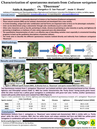 Poster 1 Magdalita-PM