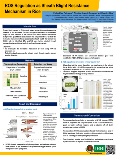 Poster 1 PADRONES-EK