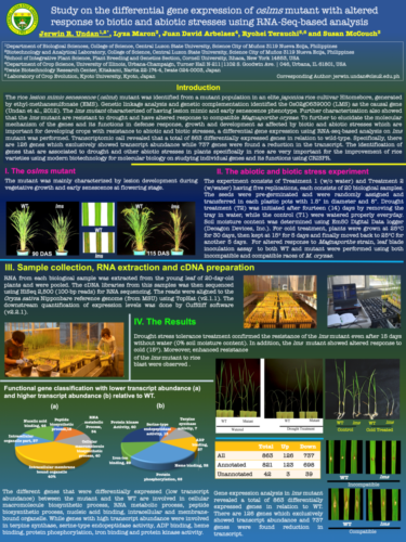 Poster 1 UNDAN-JR 2-